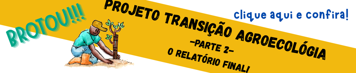 Banner ilustrativo para o Relatório do Projeto Agroecologia parte 2