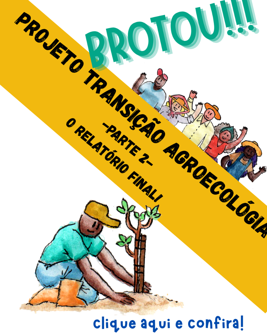 Banner ilustrativo para o Relatório do Projeto Agroecologia parte 2