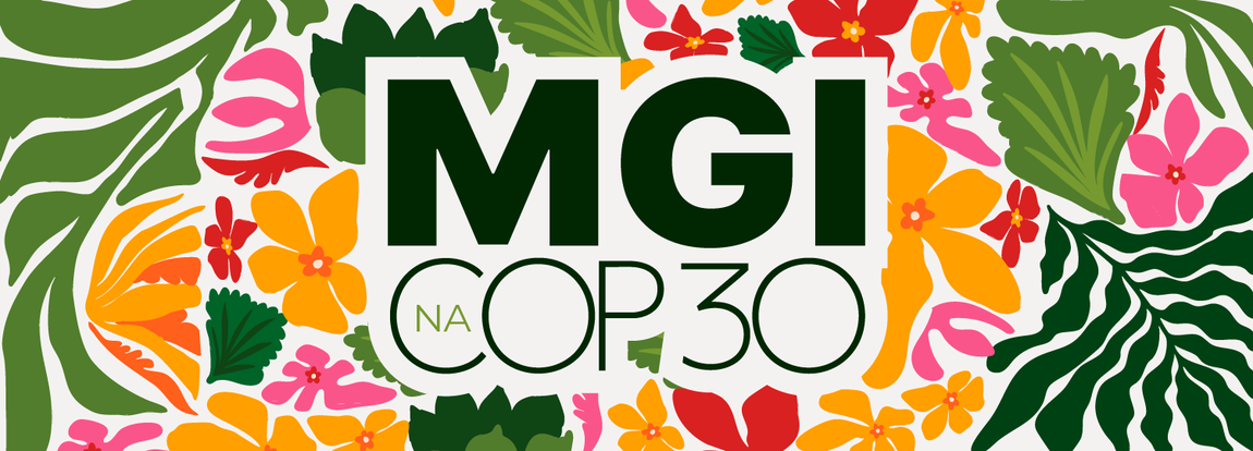 BANNER MGI NA COP 30