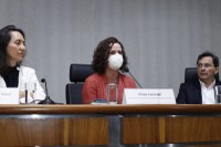 Painel debate papel estratégico das empresas estatais