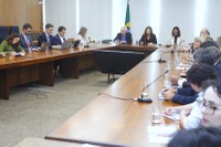 Câmara Técnica de Transformação do Estado debate com ministra da Gestão a melhoria da entrega de serviços públicos à sociedade
