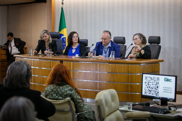 rede girc 1.jpg