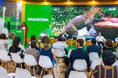 painelcapestatais (1).jpeg