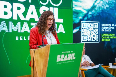 painelcapestatais (4).jpeg