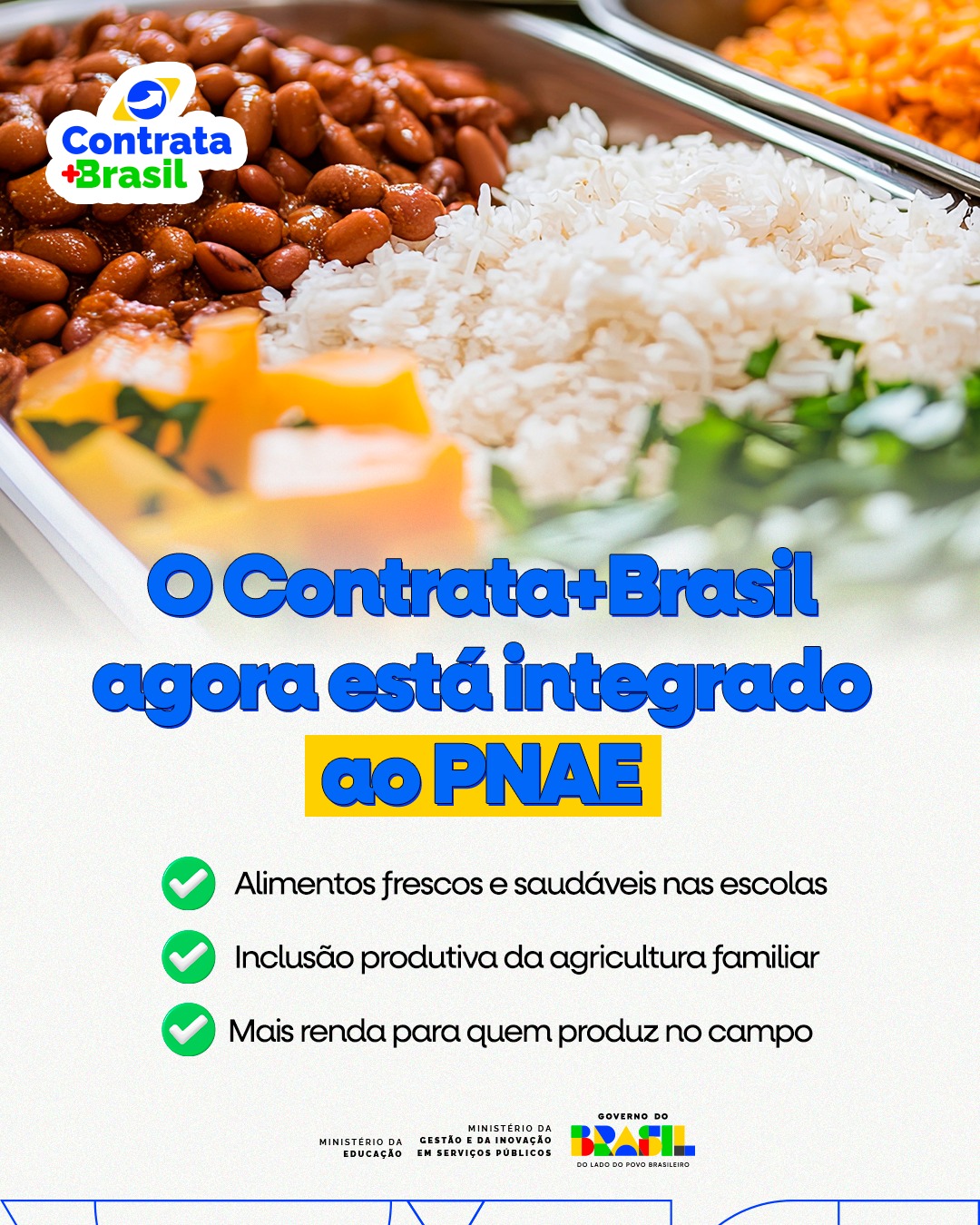 Contrata+Brasil facilita venda de alimentos da agricultura familiar para a merenda escolar para mais de 146 mil escolas