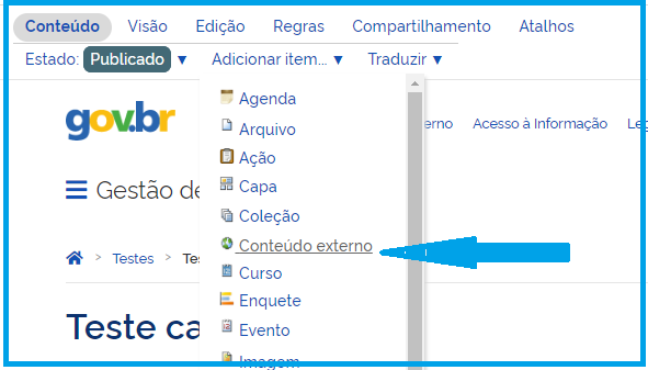 Visão da inserção do item de menu Conteúdo Externo