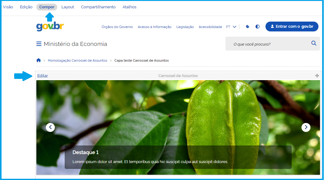 Visão da tela de edição do Carrossel