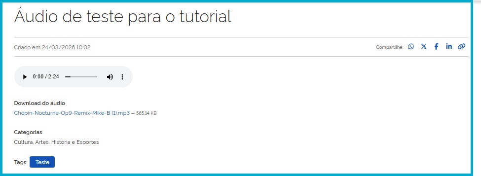Tela do áudio que foi salvo