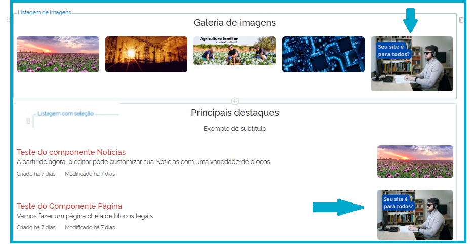 Visão da imagem inserida em dois blocos de Listagens
