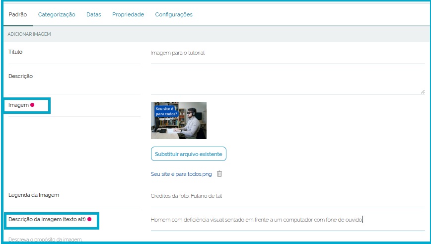 Tela de edição com o item de menu "Padrão" selecionado e os campos: Imagem e ALT marcados