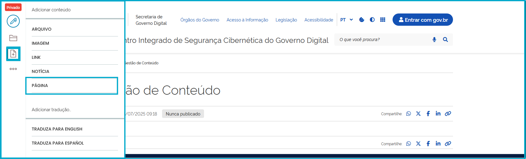 Menu de edição com o botão [+] e o item Página selecionado