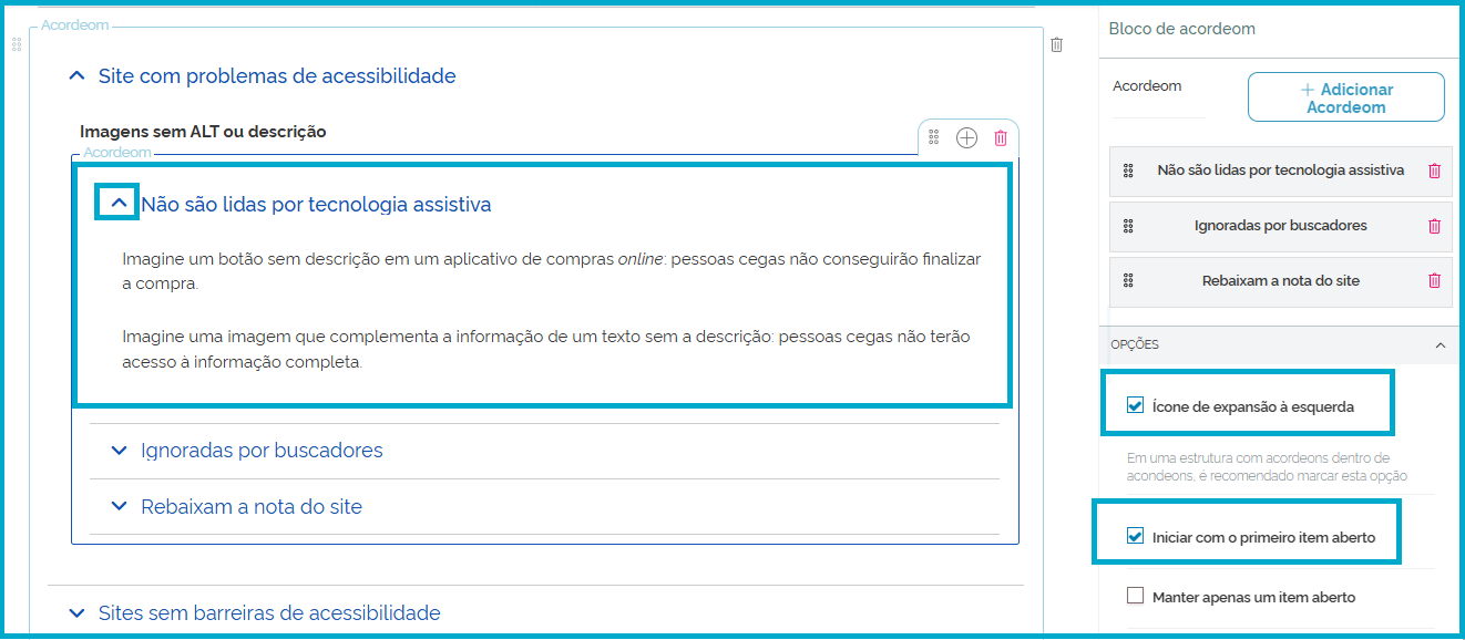 Tela mostrando a formatação do Accordion com o primeiro item aberto