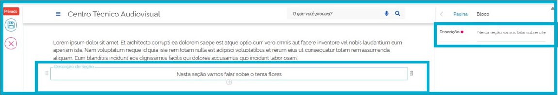 tela de configuração de descrição de seção