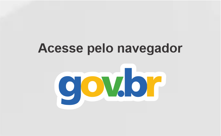 Acesse pelo navegador
