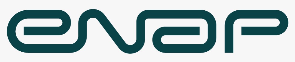 Logo Enap
