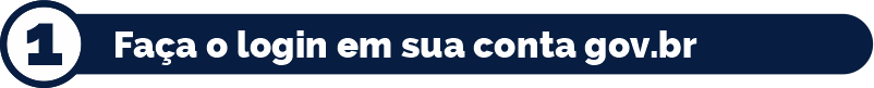 01 - Faça o login em sua conta gov.br