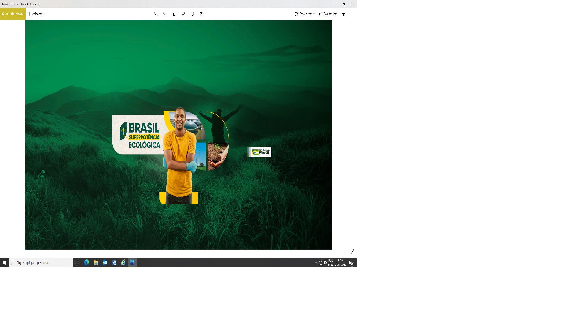 Dia do Meio Ambiente