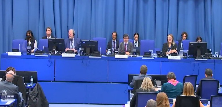 60 sessao do subcomite.jpg