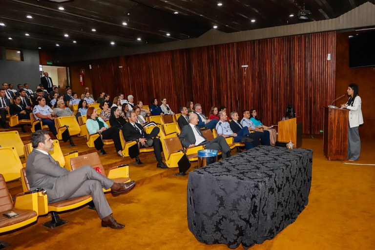 Palestra Saúde Mental Materna