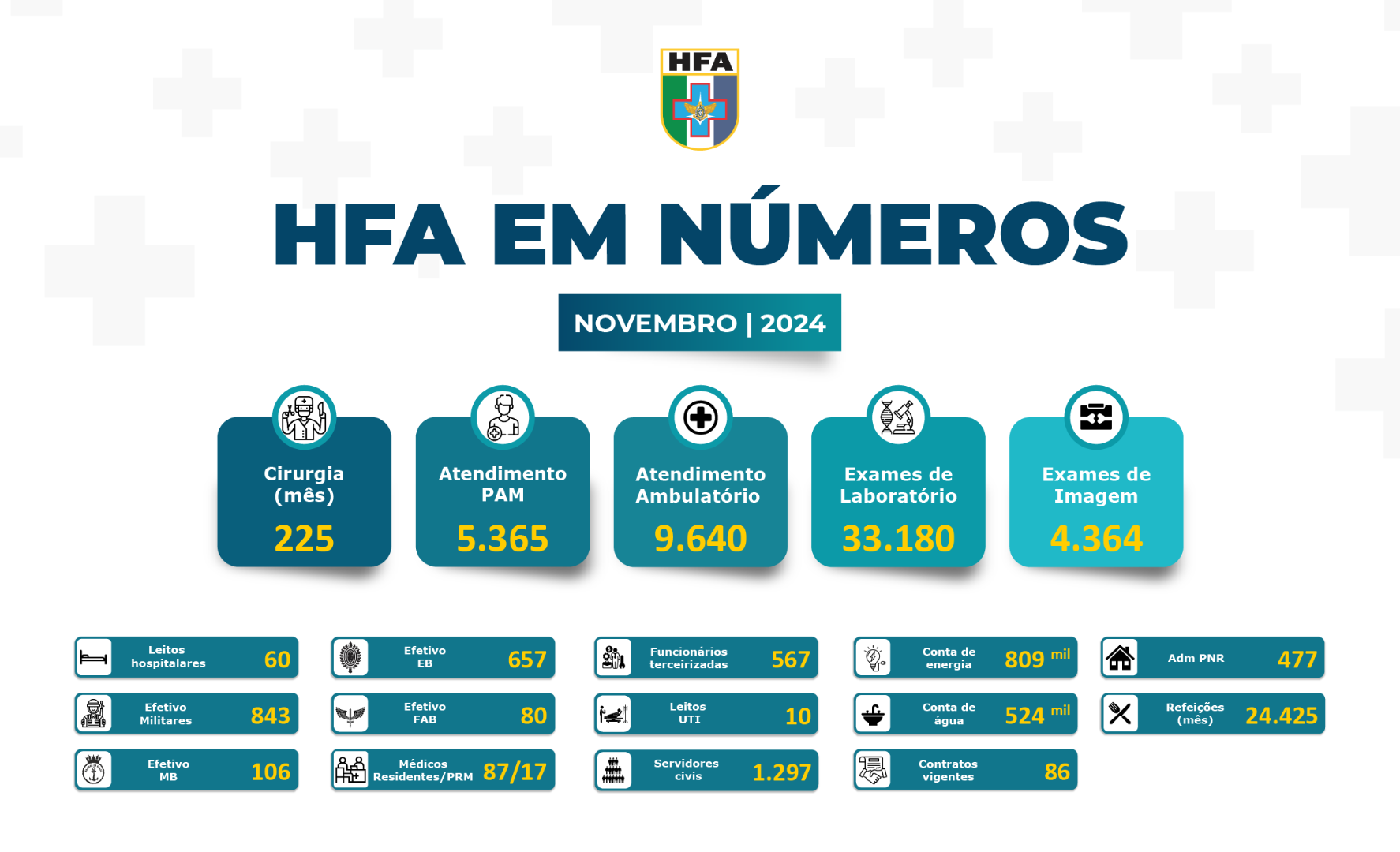 HFA-em-Números-Novembro.png