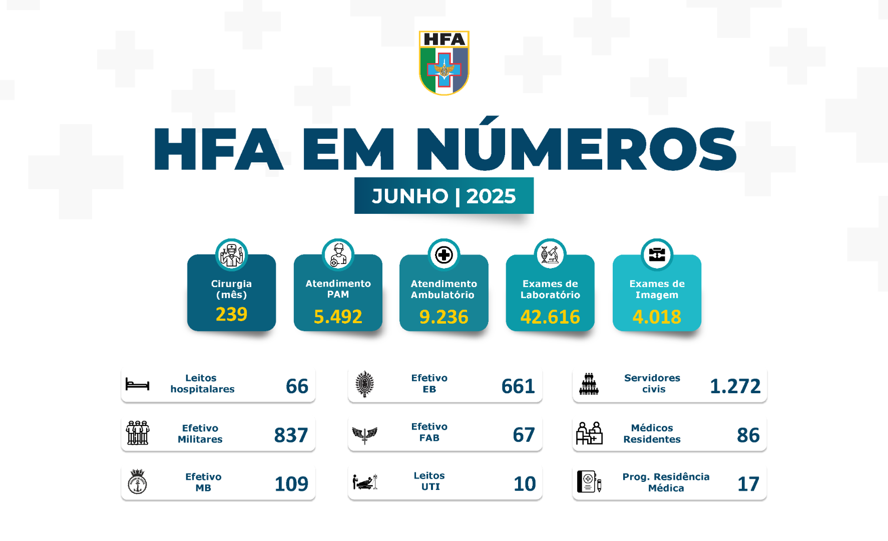 HFA-em-Números-Junho-2025_Site.png