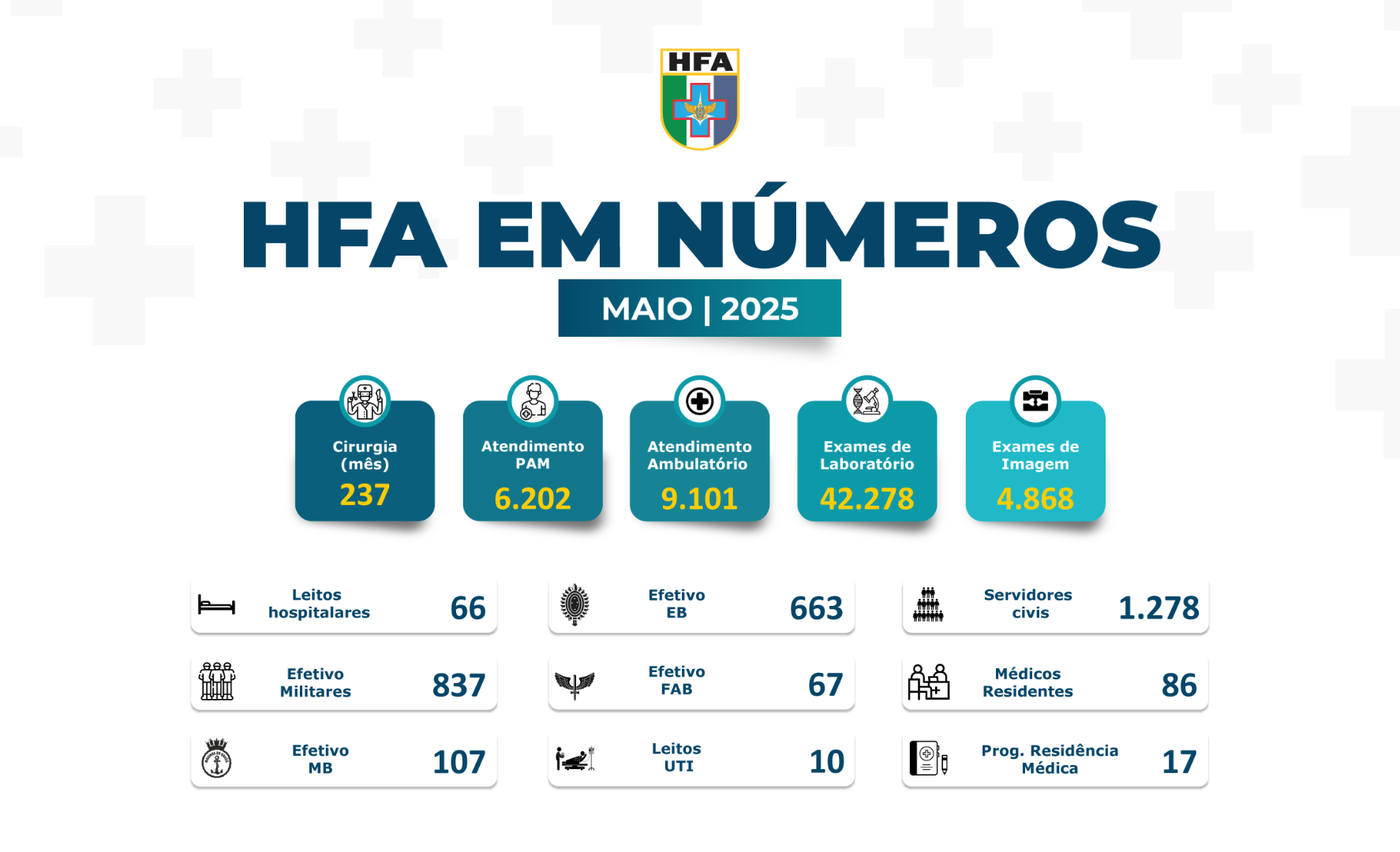 HFA-em-Números-Maio-2025.png
