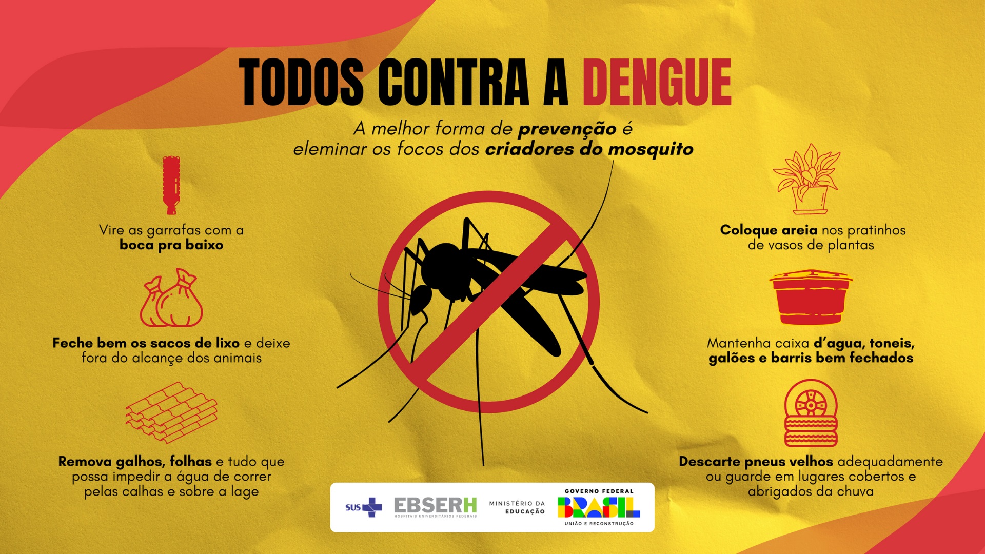 E-mail marketing dengue webinar