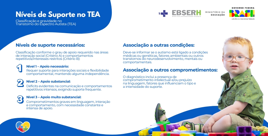 Box Conceitual — Níveis de Suporte no TEA