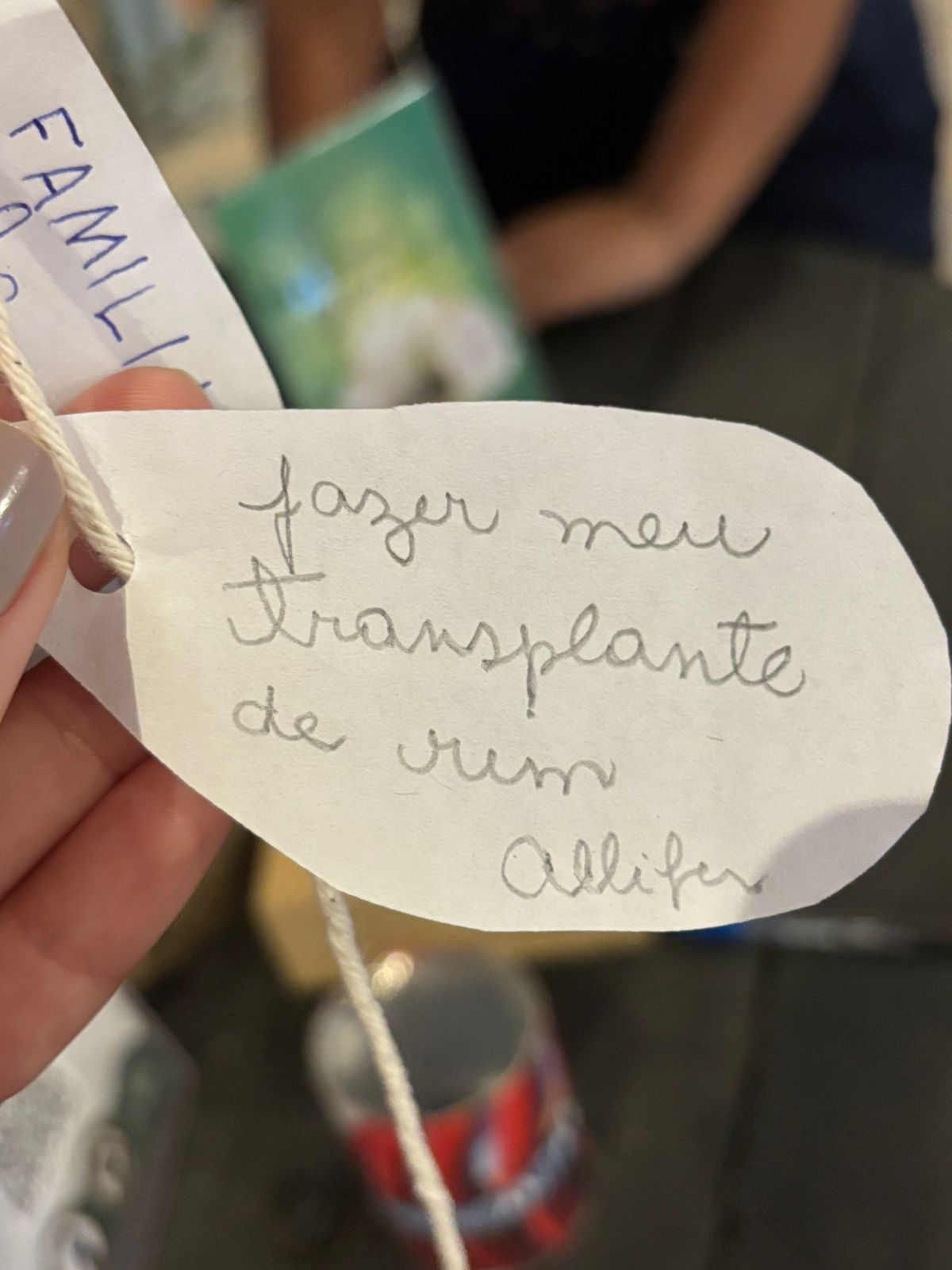 A folhinha da árvore dos desejos do Bioparque que se tornou realidade