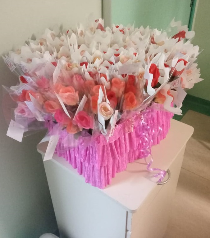 campanha chu-ufpa 3.jpg