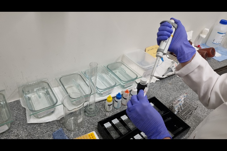 28022024 ebserh cancer pesquisa tratamento 1