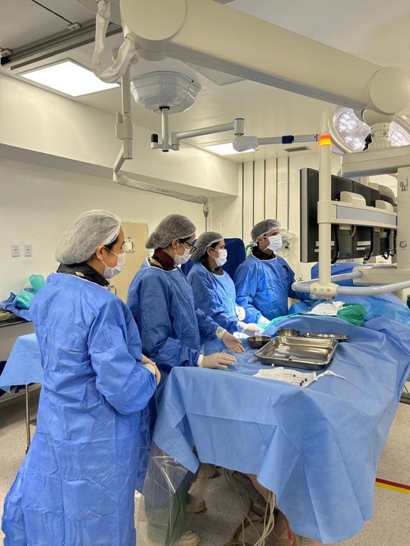 09122024 ebserh hu-ufma cateterismo  (7).jpeg