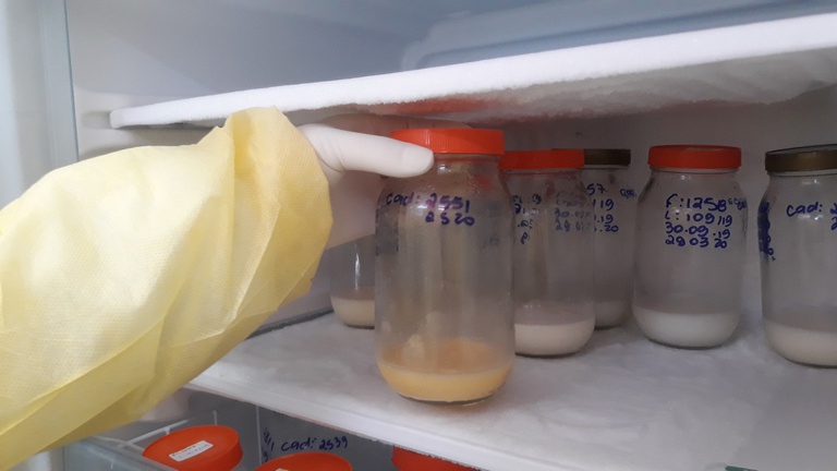 19052023 doação de leite humano.png