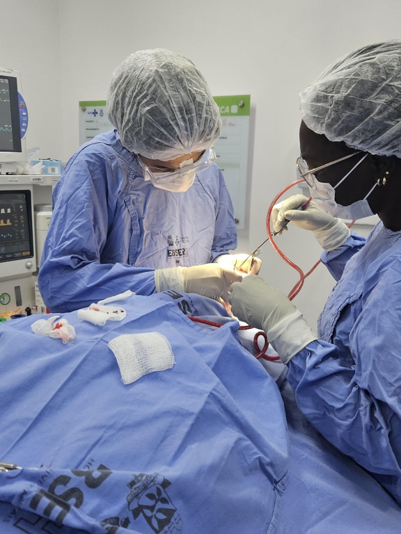 28042025 ebserh dia do ensino 2.jpg