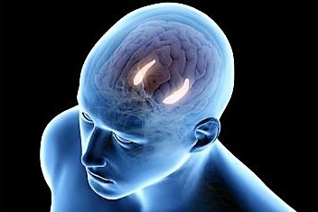 16072020 estudo hucam.jpg