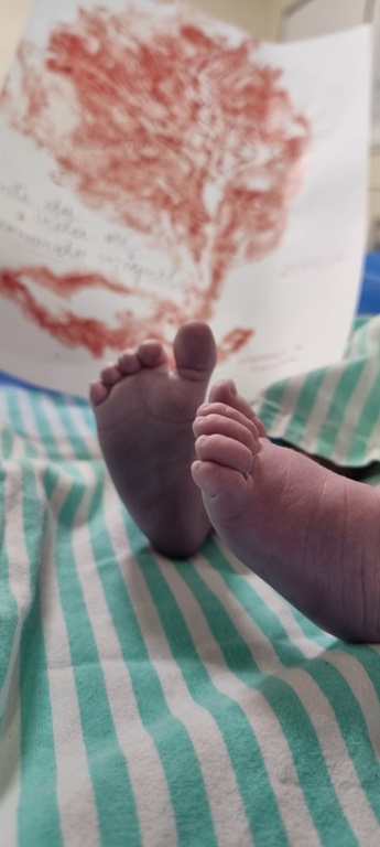 15082024 ebserh dia da gestante 3.jpeg