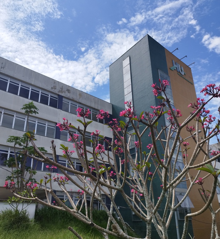 28022023 doenças raras (4)