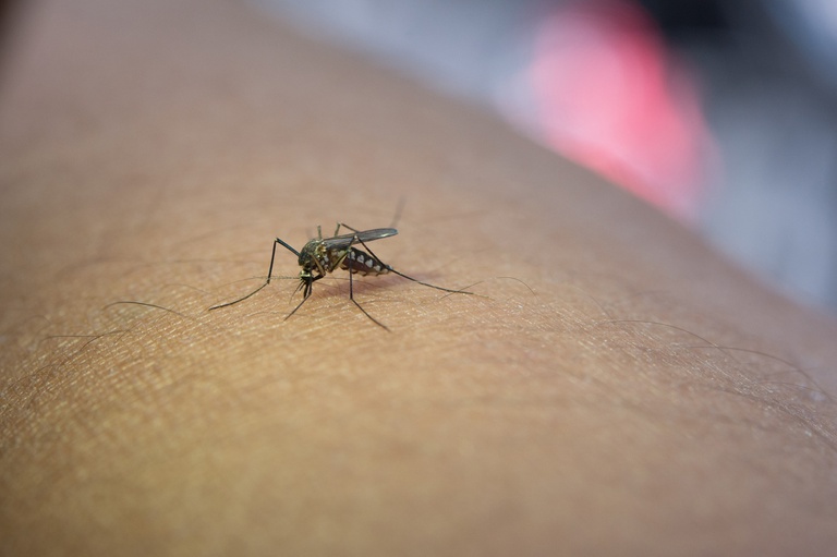 30012025 ebserh doenças tropicais