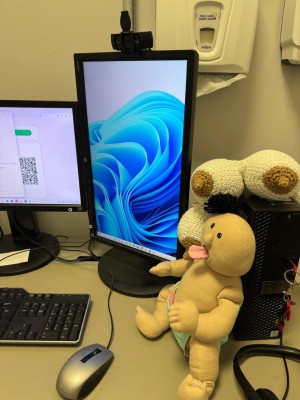 17042025 ebserh husm-ufsm Teleconsultas aleitamento materno 3.jpeg