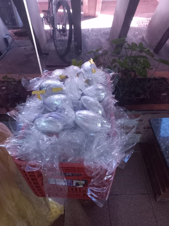 18022022 páscoa humap (27).jpeg