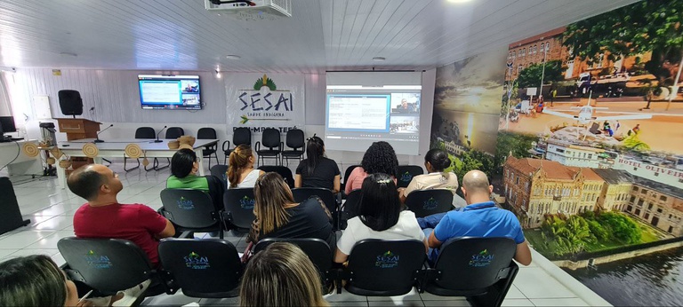 Participação remota_Capacitação em Telepnar 3.jpeg