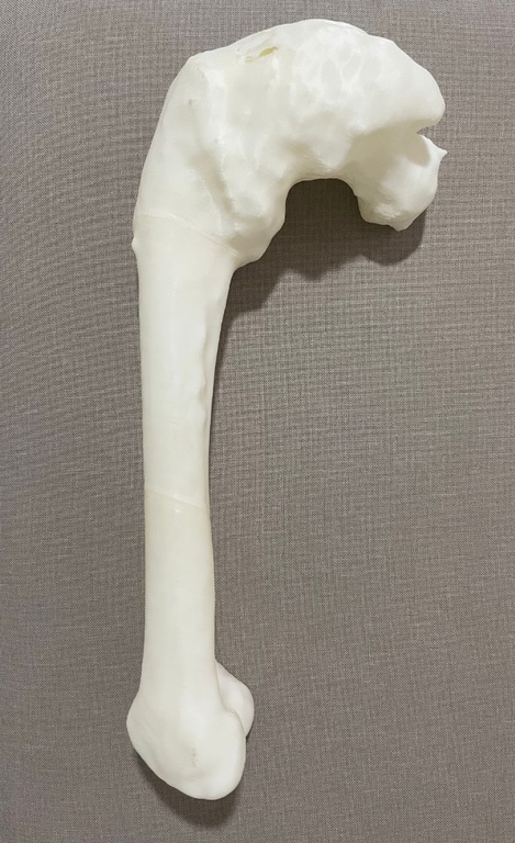 03012022 osso 3d - 2.jpeg