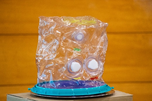 25012021 capacete elmo huwc 4.jpg