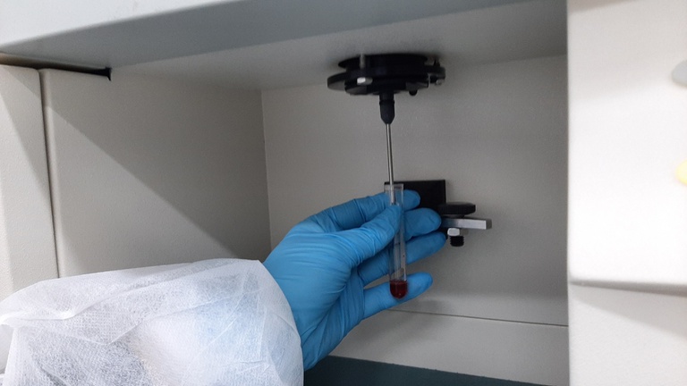 31072020 laboratório hu-furg (2).jpg