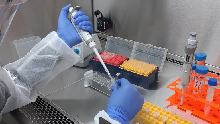 31072020 laboratório hu-furg (4).jpg