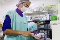 Hospital da Rede HU Brasil em Dourados (MS) orienta população sobre chikungunya