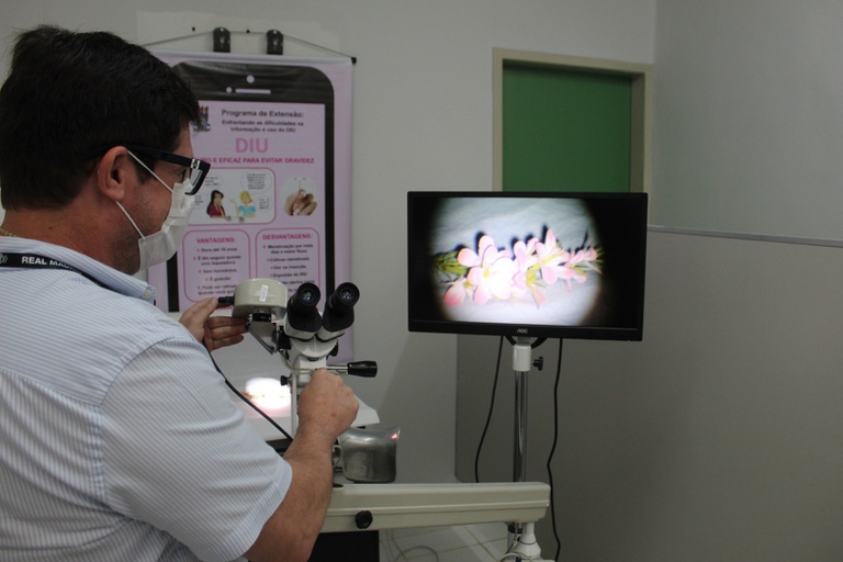 6 equipamentos ginelogicos hulw.jpeg