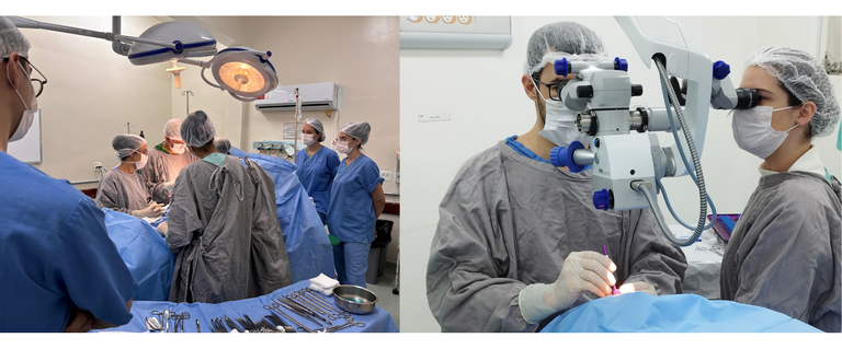 26052025 HU-UFJF realiza mutirões durante última semana de maio 1