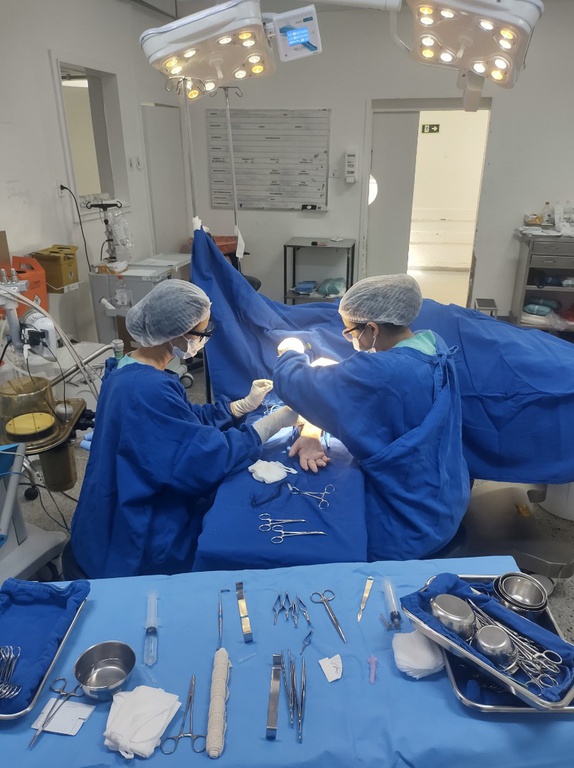 20122024 HUB realizou mutirões de exames e cirurgias reforçando compromisso com o SUS 1.jpeg