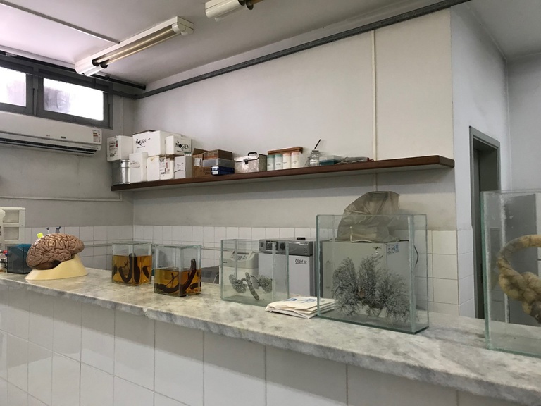 12012021 laboratório cirurgia huol 1.jpeg